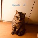 阿长不想说话的个人资料头像