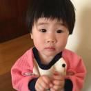 喂喂重名了的个人资料头像