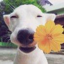 许晓东的个人资料头像