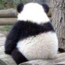 Bridge52873的个人资料头像