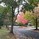 alfonso的个人资料头像