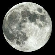 kingideayou的个人资料头像