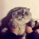 谁都别拦着我的个人资料头像