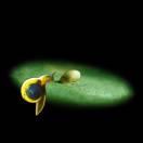 同学52974的个人资料头像