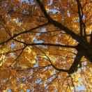 GetonGo的个人资料头像