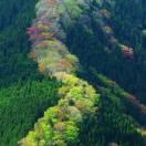 你说啥的个人资料头像