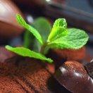 a冰的个人资料头像