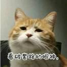 HarveyZ的个人资料头像