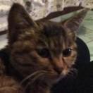 daniel不想说话53455的个人资料头像