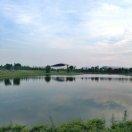 微风君53463的个人资料头像