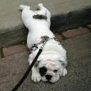 ako0的个人资料头像