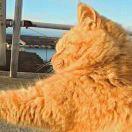 猎人不想说话53476的个人资料头像