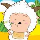 rociss的个人资料头像