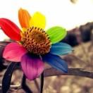 洝然的个人资料头像