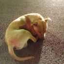 A祥的个人资料头像