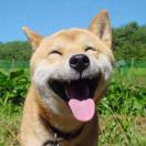 ivan酱53715的个人资料头像