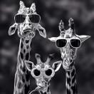 胡海祥重名了的个人资料头像