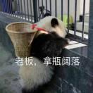 iPanda君的个人资料头像