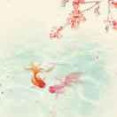 往忆勿忧的个人资料头像