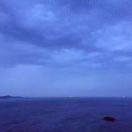 XSC53875的个人资料头像