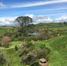 kelvin的个人资料头像