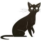 伊娃的个人资料头像