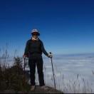 春暖花开同学53940的个人资料头像