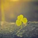 段爱学习54045的个人资料头像