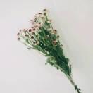 鹿鹿就是我的个人资料头像