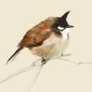 他年燕不知的个人资料头像