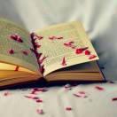 泽文的个人资料头像