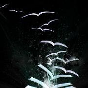 突破白色丶世界的个人资料头像