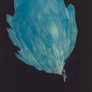 Mr_有趣的个人资料头像