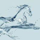 钟树青的个人资料头像