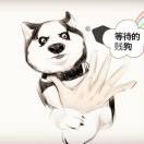 二狗君的个人资料头像