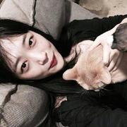 anyviya的个人资料头像