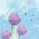 Jmary的个人资料头像