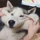 YZJ_YE的个人资料头像