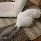 Devilgrace吴青的个人资料头像