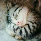 Freya本尊的个人资料头像