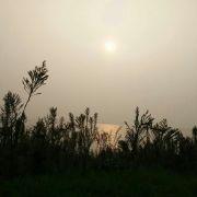 twjzmh的个人资料头像