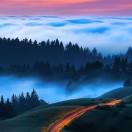 张伟同学54688的个人资料头像