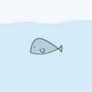 CY同学54737的个人资料头像