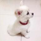 夕月的个人资料头像