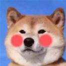 Acat的个人资料头像