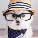 edgar重名了的个人资料头像