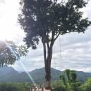 勇的个人资料头像