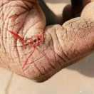 loading爱学习55144的个人资料头像