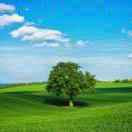 undefined的个人资料头像