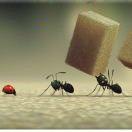 he本尊55181的个人资料头像